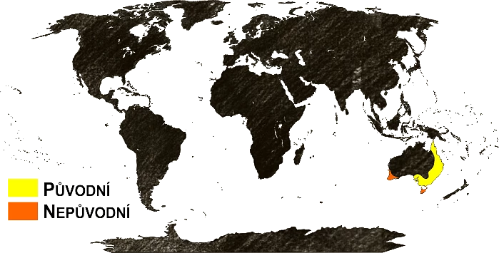 Mapa výskytu