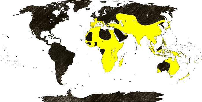 Mapa výskytu