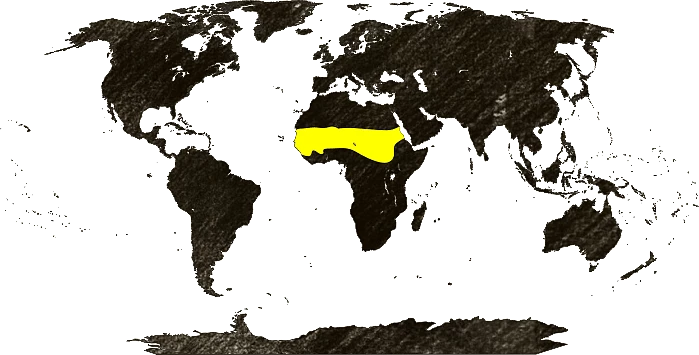 Mapa výskytu
