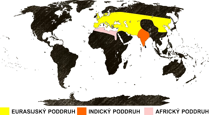 Mapa výskytu