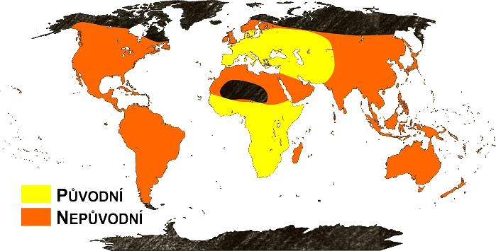 Mapa výskytu