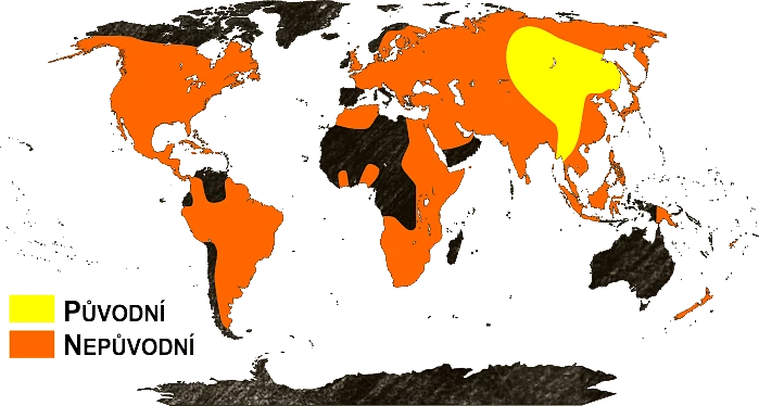 Mapa výskytu