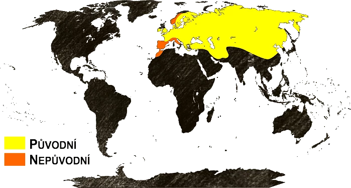 Mapa výskytu