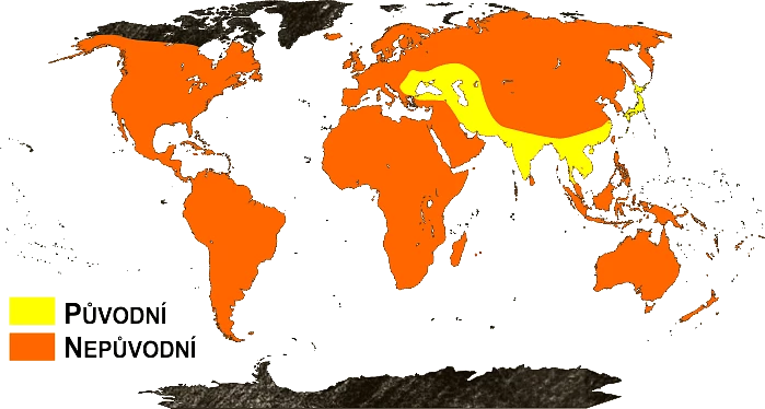 Mapa výskytu