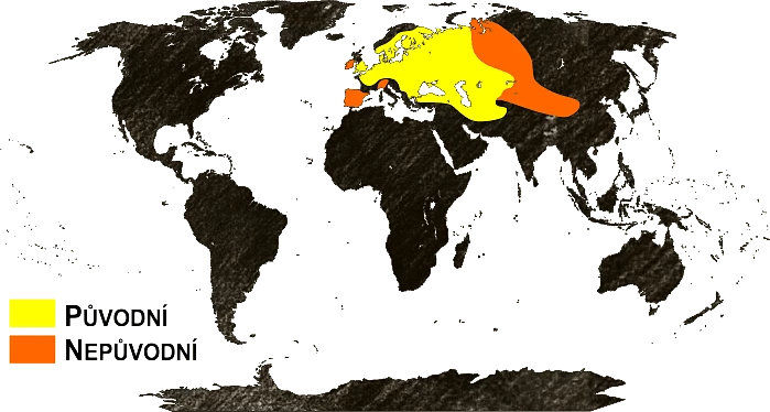 Mapa výskytu