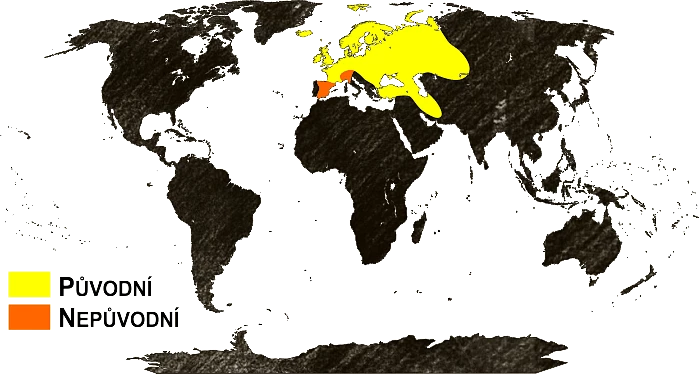 Mapa výskytu