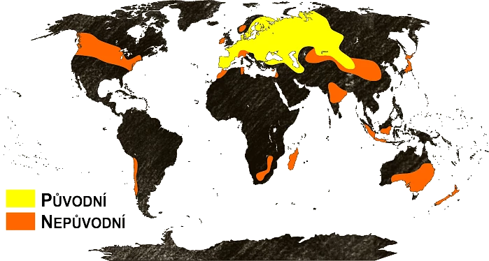 Mapa výskytu