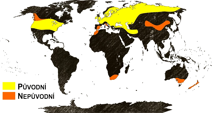 Mapa výskytu