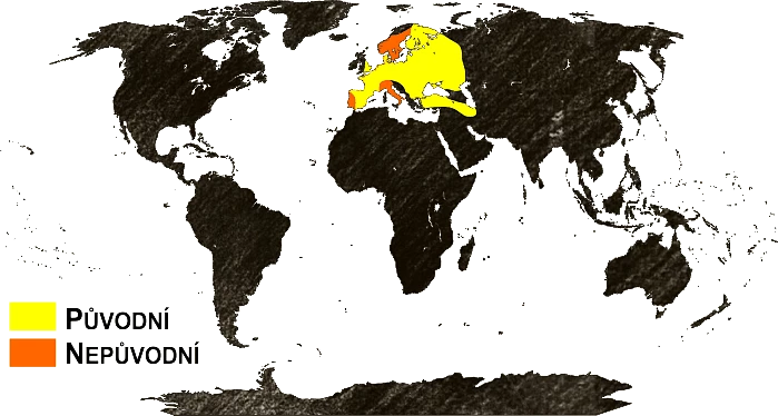 Mapa výskytu