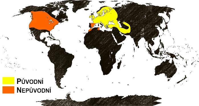 Mapa výskytu
