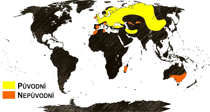 Mapa výskytu