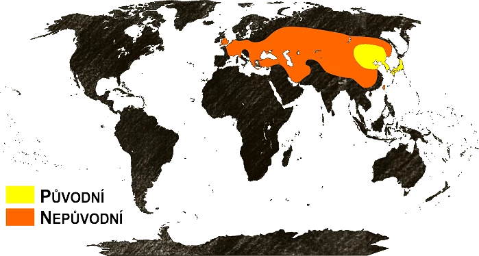 Mapa výskytu