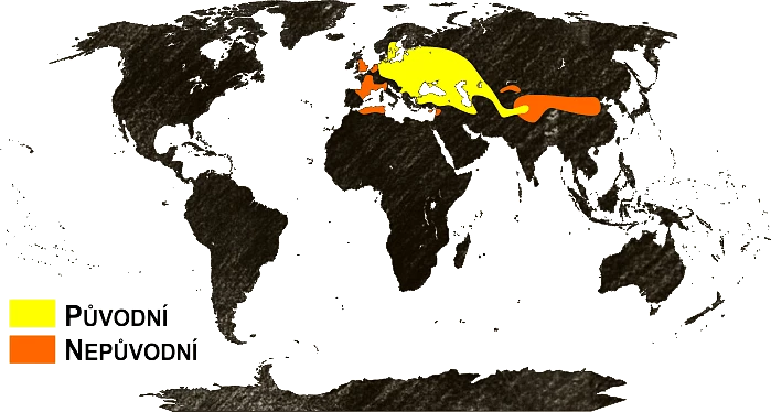 Mapa výskytu