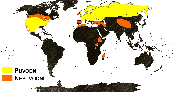 Mapa výskytu