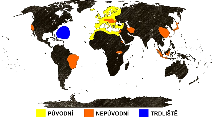 Mapa výskytu