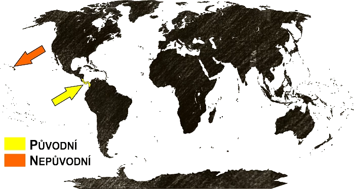 Mapa výskytu