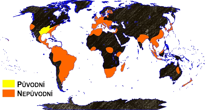 Mapa výskytu