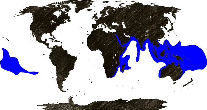 Mapa výskytu