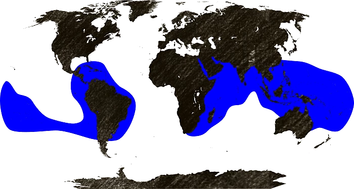 Mapa výskytu