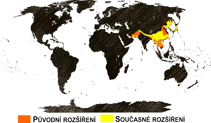 Mapa výskytu
