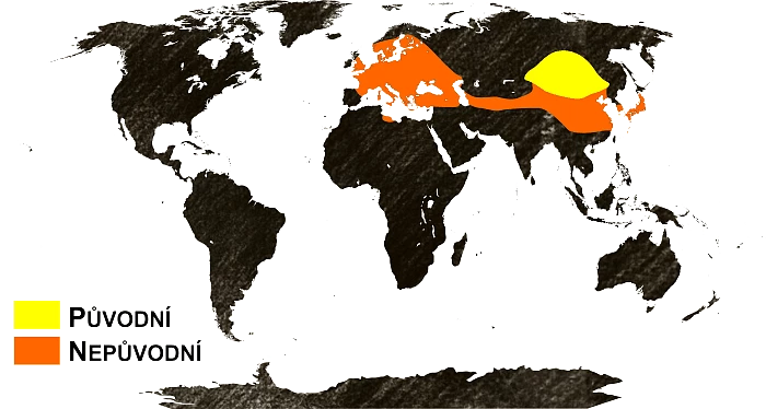 Mapa výskytu