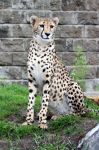 Zoo Chleby