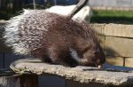 Zoo Chleby