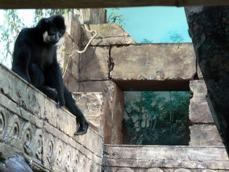 Zoo Chleby