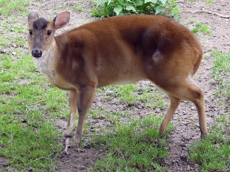Zoo Chleby