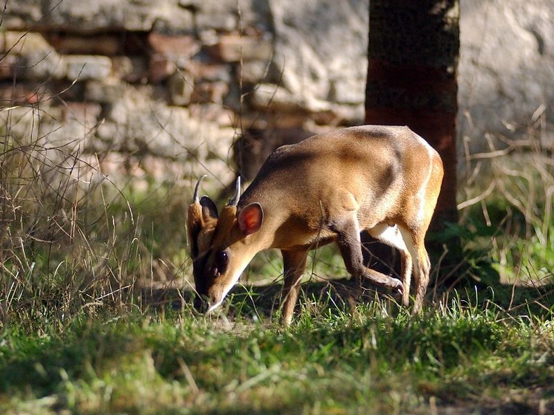 Zoo Chleby