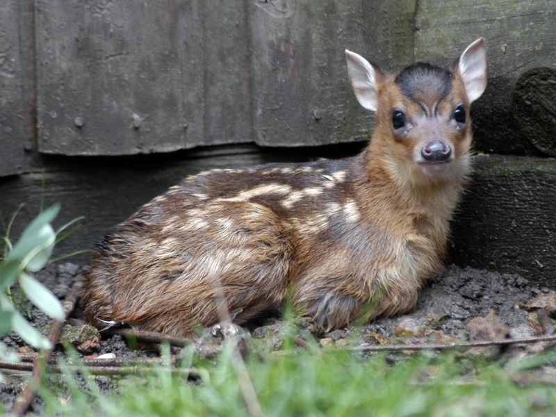 Zoo Chleby