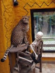 Zoo Chleby