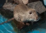 Zoo Chleby