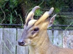 Zoo Chleby