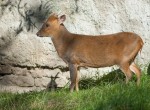 Zoo Chleby