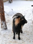 Zoo Chleby