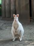 Zoo Chleby