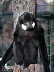 Zoo Chleby