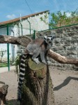Zoo Chleby