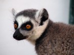 Zoo Chleby