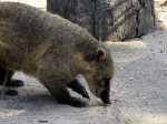 Zoo Chleby