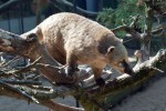 Zoo Chleby