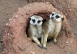 Zoo Chleby