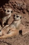 Zoo Chleby
