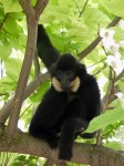 Zoo Chleby