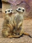 Zoo Chleby