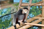 Zoo Chleby
