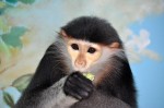 Zoo Chleby