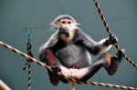 Zoo Chleby