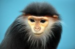 Zoo Chleby